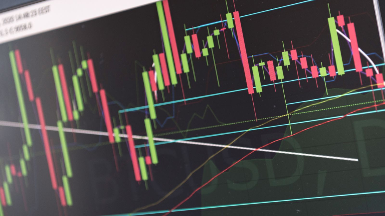 Pruxpax Earn — track staking rewards and portfolio growth